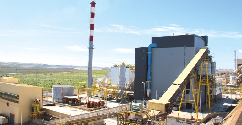 40 MW Biomass Power Plant İnvestment